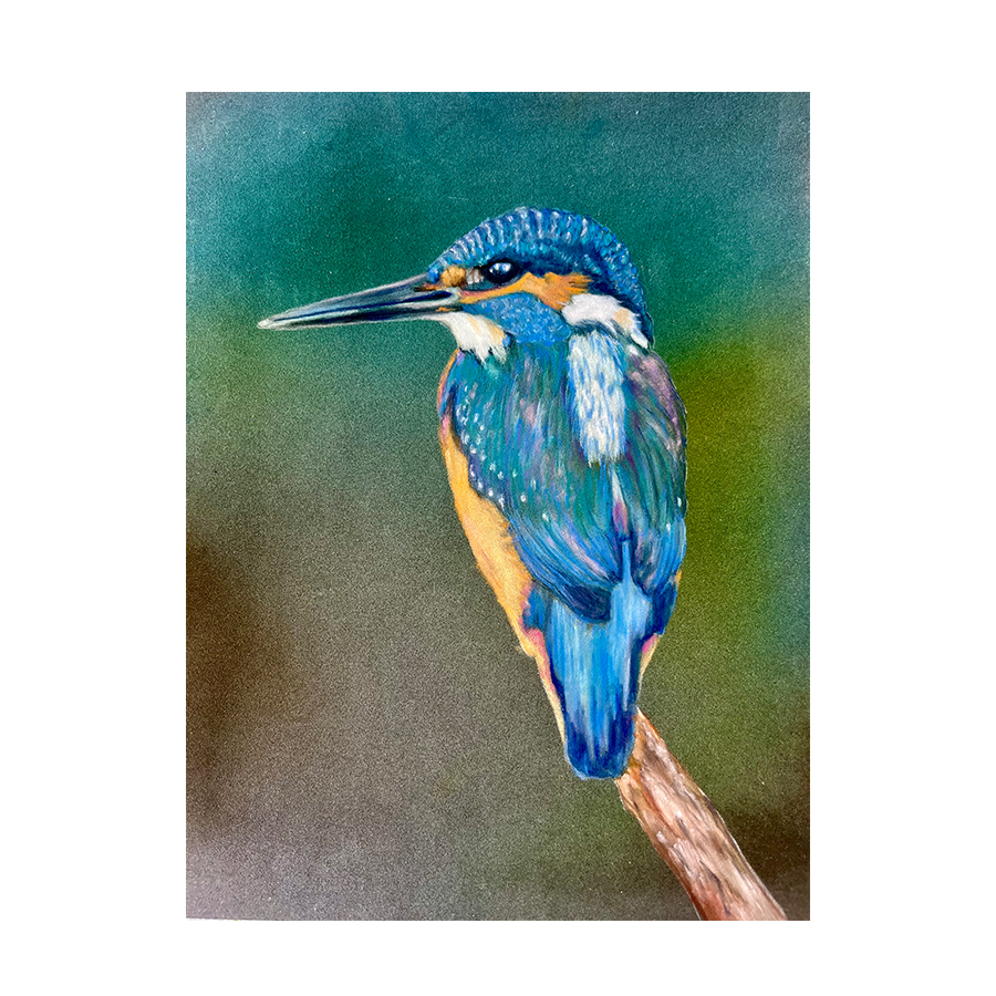 Kingfisher